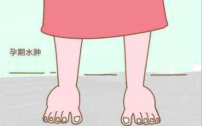 2026年哪个国家可以做借卵试管？现在去哪国能做借卵试管婴儿？,供卵代怀中心医院