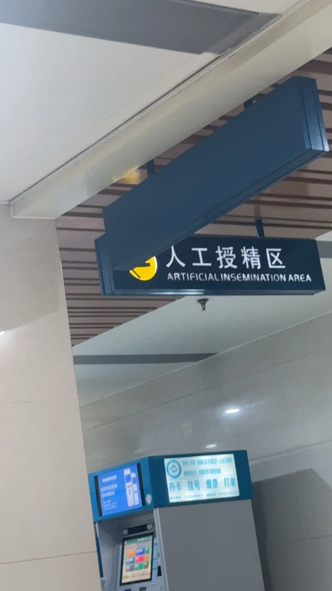 人工授精不耽误时间的最快流程,第三代试管婴儿代孕技术&做试管代孕的成功