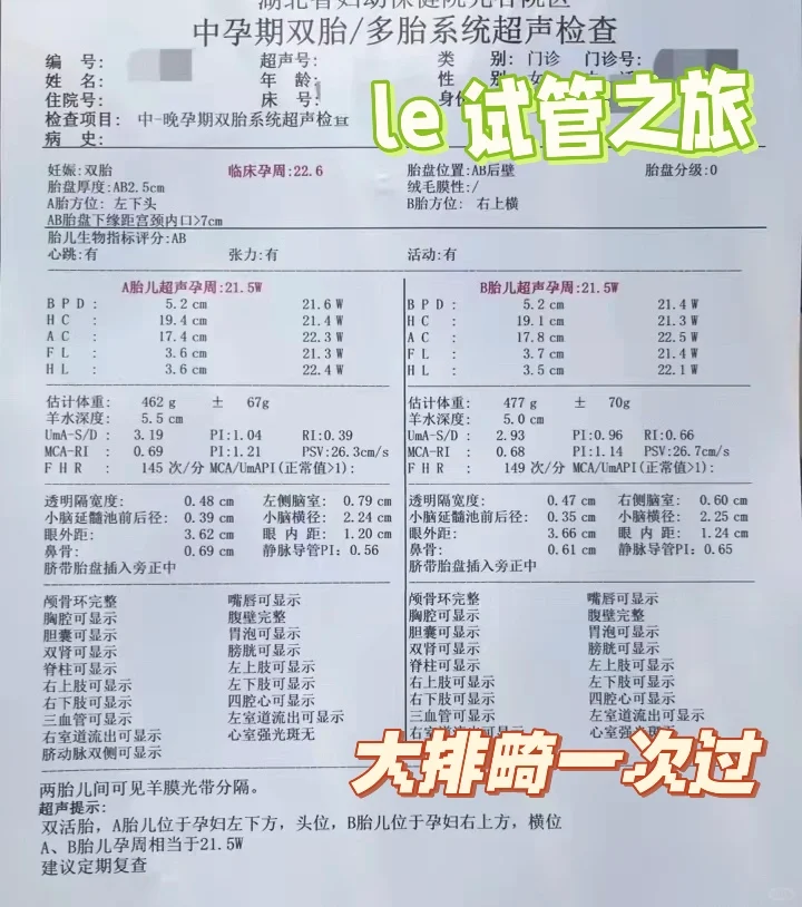 爱的另一种方式：我们的试管之旅,代孕的选性别流程