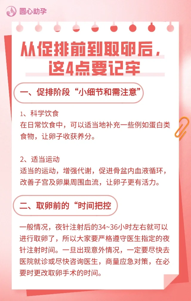 排卵前到取卵后，这4点要牢记！,代孕哪里成功率高啊-代孕辅助生殖中心成功率