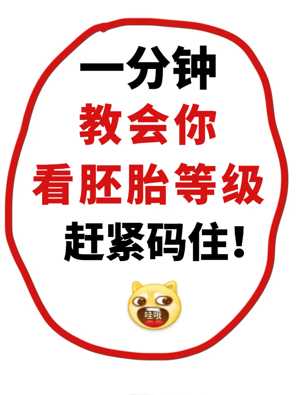 一分钟教会❗️你看胚胎等级✅赶紧码住,国内代生孩子地址，供卵代孕公司