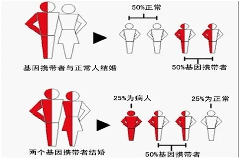 2. 同型地贫夫妻如何科学生娃,国内靠谱代怀公司，国内供卵机构有哪些地方
