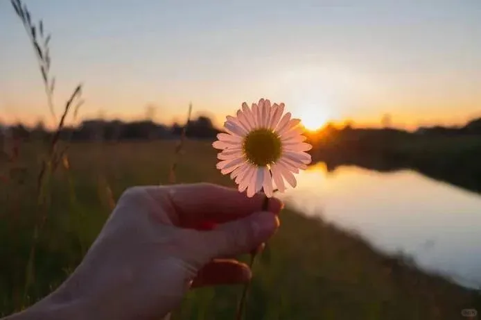  二胎之盼，试管圆梦 -从备孕困境到如愿好孕,坤和代孕机构
